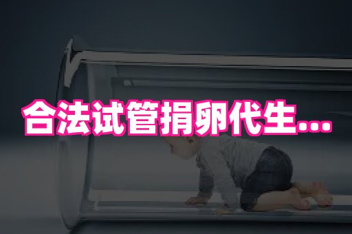 821孕网 1