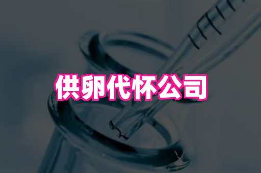 821孕网 3