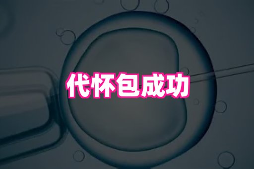 821孕网 4